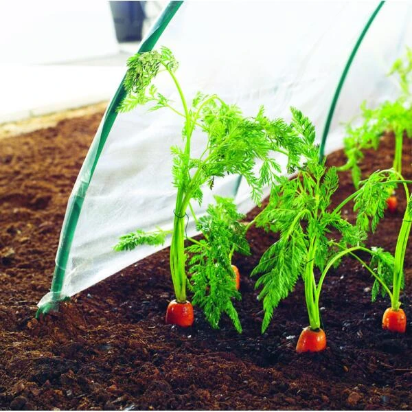 Kweekfolie / Tunnelfolie - 2 × 10 M 2 Kweekfolie / Tunnelfolie - 2 × 10 M - Afbeelding 2