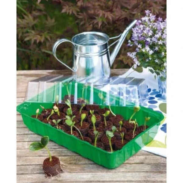 Zaaischaal Met Deksel 36 × 22 × 13 Cm 2 Zaaischaal Met Deksel 36 × 22 × 13 Cm - Afbeelding 2