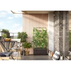 Kweekbak City Jungle Basic Met Klimframe 8 Kweekbak City Jungle Basic Met Klimframe -Tuinonderhoudsgereedschap Winkel 1677572003 1 600