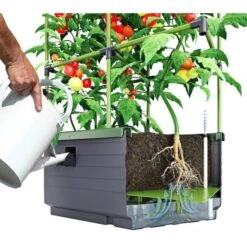 Kweekbak City Jungle Basic Met Klimframe 9 Kweekbak City Jungle Basic Met Klimframe -Tuinonderhoudsgereedschap Winkel 1677572003 2 600