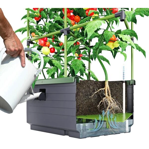 Kweekbak City Jungle Basic Met Klimframe 4 Kweekbak City Jungle Basic Met Klimframe - Afbeelding 4