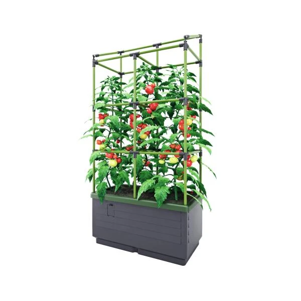 Kweekbak City Jungle Basic Met Klimframe 2 Kweekbak City Jungle Basic Met Klimframe - Afbeelding 2