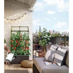 Kweekbak City Jungle Basic Met Klimframe 10 Kweekbak City Jungle Basic Met Klimframe -Tuinonderhoudsgereedschap Winkel 1677572004 4 600