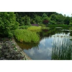 Ecoo Tuin- Of Vijverafboording Ecolat 14 Cm - 10 M Grijs -Tuinonderhoudsgereedschap Winkel ecolat 10 m 1484063064 4 600