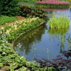 Ecoo Tuin- Of Vijverafboording Ecolat 14 Cm × 25 M - Grijs -Tuinonderhoudsgereedschap Winkel ecolat tuinafboording 25m x 14 cm 1627911849 1 600