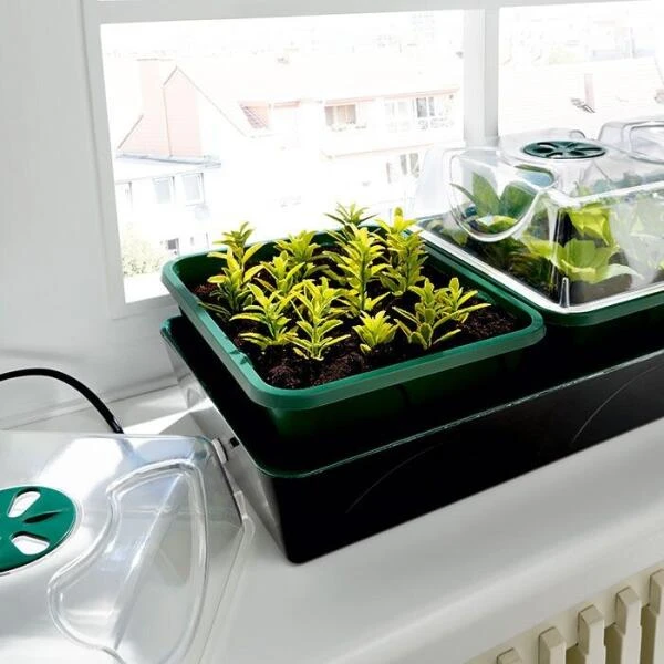 Elektrische Vensterbankkas Met Waterreservoir 2 Elektrische Vensterbankkas Met Waterreservoir - Afbeelding 2