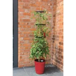 Tomatentoren Met Bewateringssysteem - 150 Cm -Tuinonderhoudsgereedschap Winkel klimplantentoren met bewateringssysteem 1519074088 1 600