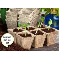 Vezelpotjes Vierkant Biologisch Afbreekbaar - 6 × 6 Cm - Set Van 24 Stuks -Tuinonderhoudsgereedschap Winkel kokos potjes vierkant 6 cm 1519297688 1 600