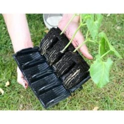 Kweektray Deep Roots - 32 Cellen -Tuinonderhoudsgereedschap Winkel kweektray deep roots 32 cellen 1521400145 1 600