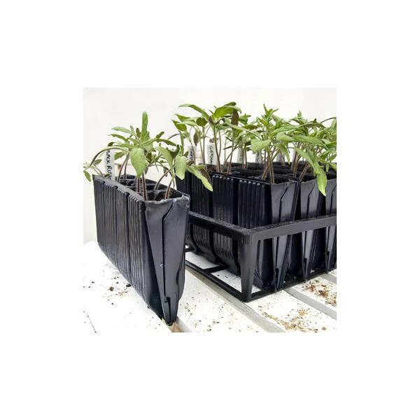 Kweektray Deep Roots - 40 Cellen 1 Kweektray Deep Roots - 40 Cellen