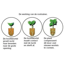 Kweektray Rapid Roots - 32 Cellen -Tuinonderhoudsgereedschap Winkel kweektray rapid roots 32 cellen 1487680788 0 600