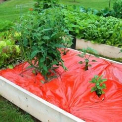 Rode Folie Voor Een Betere Plantengroei -Tuinonderhoudsgereedschap Winkel mulchfolie 1577621986 1 600