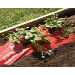 Rode Folie Voor Een Betere Plantengroei -Tuinonderhoudsgereedschap Winkel mulchfolie rood aardbeien en tomaten 1492072043 1 600