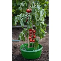 Plant- En Gietpot Groen - Set Van 3 Stuks -Tuinonderhoudsgereedschap Winkel plant en gietpot 1484054799 4 600