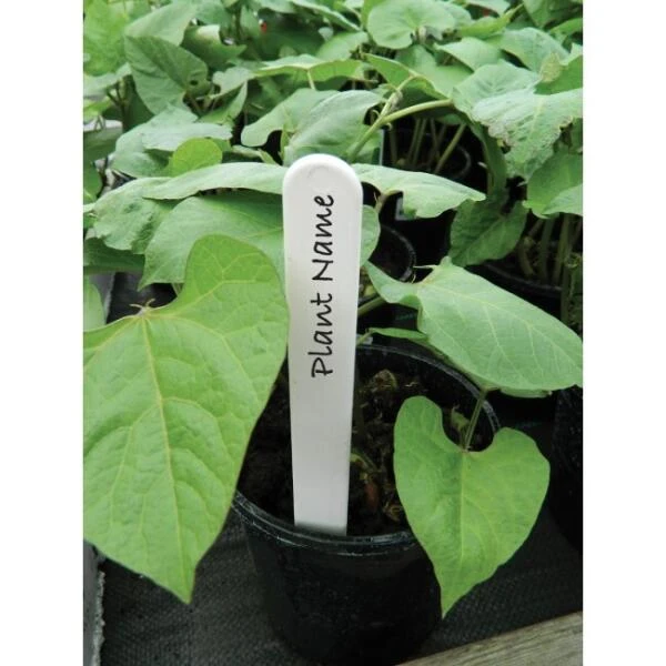 Plantenlabels Wit Kunststof - 20 Cm - Set Van 20 Stuks 2 Plantenlabels Wit Kunststof - 20 Cm - Set Van 20 Stuks - Afbeelding 2