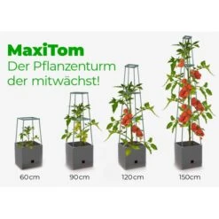 Plantentoren Maxitom Met Waterreservoir - Antraciet -Tuinonderhoudsgereedschap Winkel plantentoren maxitom antraciet 1677571236 4 600