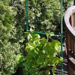 Rozenboog Massief Met Klimhulp 150 × 40 × 230 Cm -Tuinonderhoudsgereedschap Winkel rozenboog massief klimhulp 150 x 40 x 230 cm 1559385625 1 600