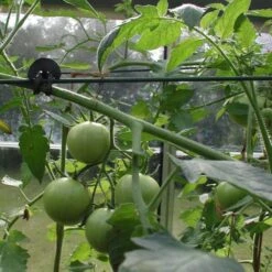 Tree-fix Boombinder 8 Cm - Set Van 50 Stuks -Tuinonderhoudsgereedschap Winkel treefix boombinder 8 cm 1547125995 3 600