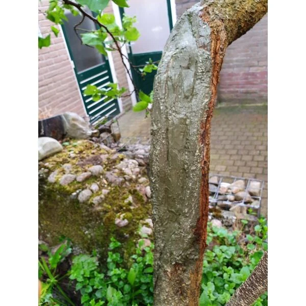 Compo Wondafdekmiddel - Lac Balsam 2 Compo Wondafdekmiddel - Lac Balsam - Afbeelding 2